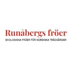 Runabergs fröer